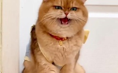 omega教养所地下室